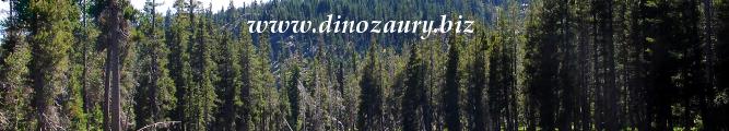 DINOZAURY